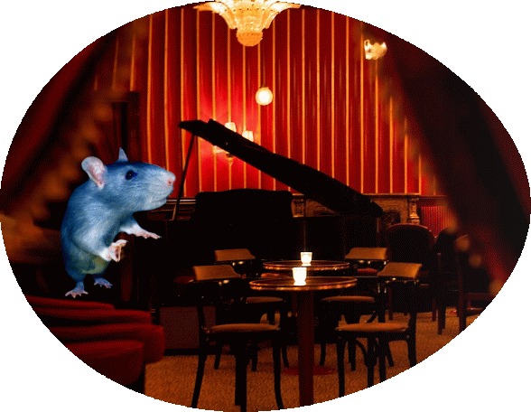 A grand piano at which a large Blue Rat was playing jazz